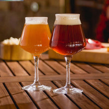 Afbeelding in Gallery-weergave laden, Sommelier Kelch Ritzenhoff (20cl)