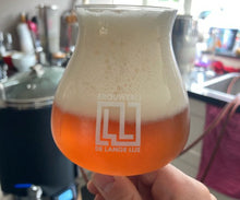 Afbeelding in Gallery-weergave laden, Brouwerij De Lange Lijs - Eclipse (24x)