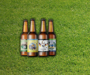 De Grote 4 Bierpakket (4 bieren) - Brouwerij Bier & Ballen