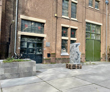 Afbeelding in Gallery-weergave laden, Workshop Bierbrouwen (prijs p.p.) - Brouwerij Pronck