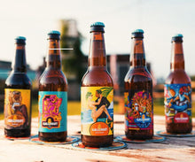 Afbeelding in Gallery-weergave laden, 12-pack (kies je soort) - Gallivant