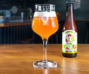 Limited Editions Box (8 bieren) – 100 Watt Brewery