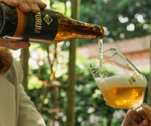 Vaderdag Bierpakket - Brouwerij De Toekomst